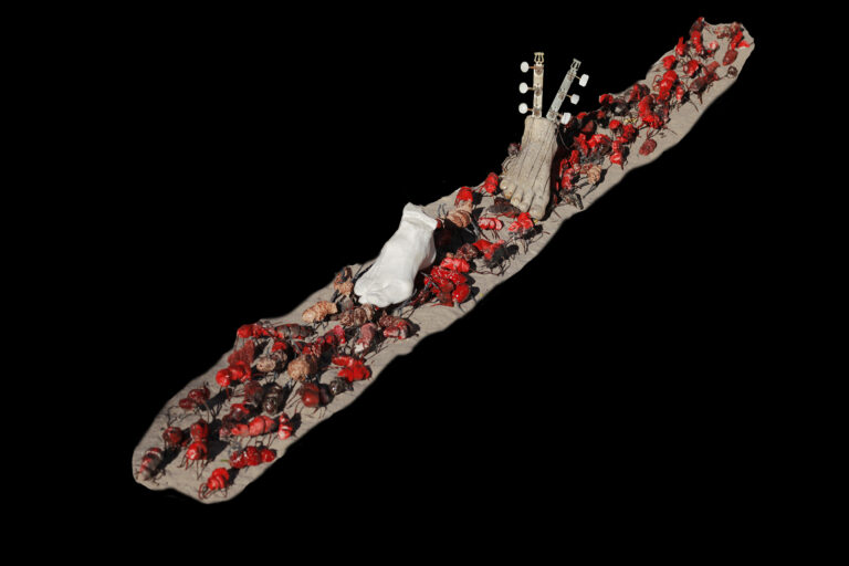 mi pie derecho - copia