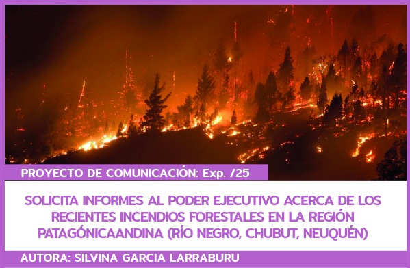 Pl Bebidas energgizantes