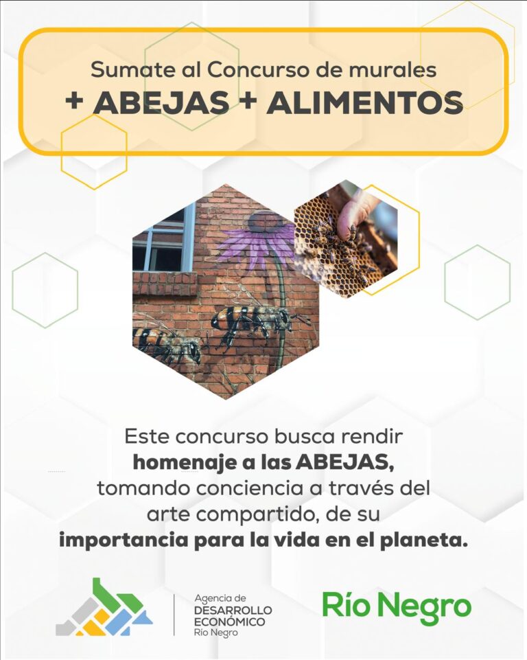 + abejas + alimentos (3)