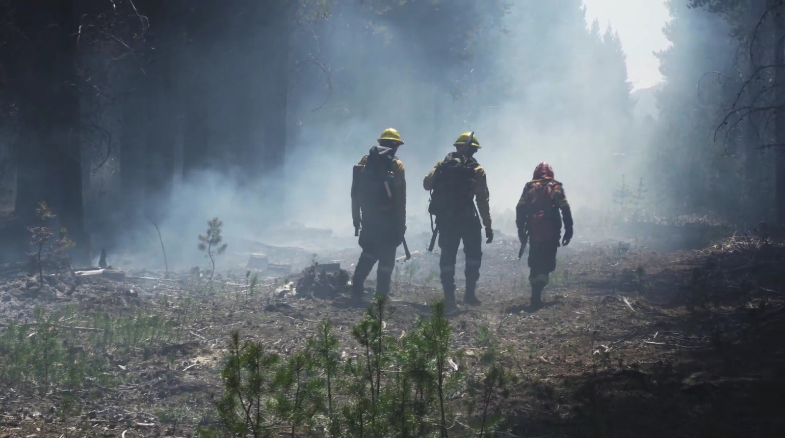ECOS DEL FUEGO
