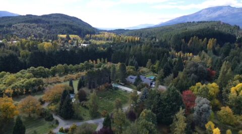 El despertar vitivinícola de la Comarca Andina: Lago Puelo se posiciona con el primer encuentro «Puelo Wines»