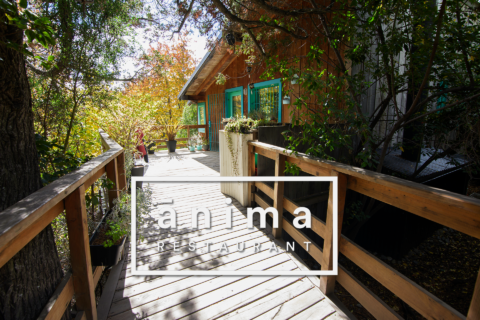 La escena gastronómica de lujo en Bariloche tiene un faro indiscutible y se llama Ánima.