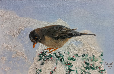 Aves Bariloche, tres artistas mil vuelos.